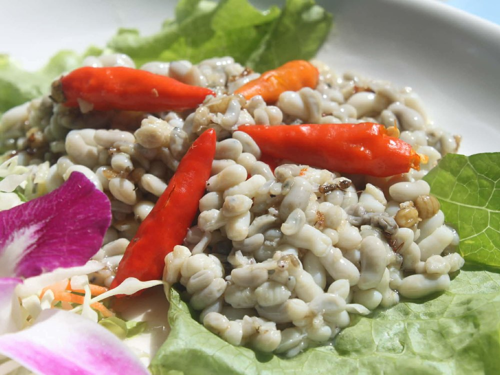 ไข่มดแดงคั่วเกลือ ร้านอาหารใบเตย กระบี่