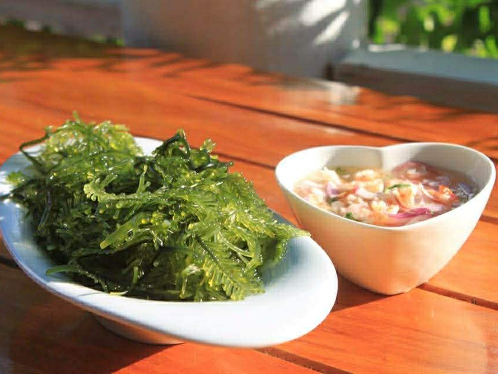 ยำสาหร่าย ร้านอาหารใบเตย กระบี่