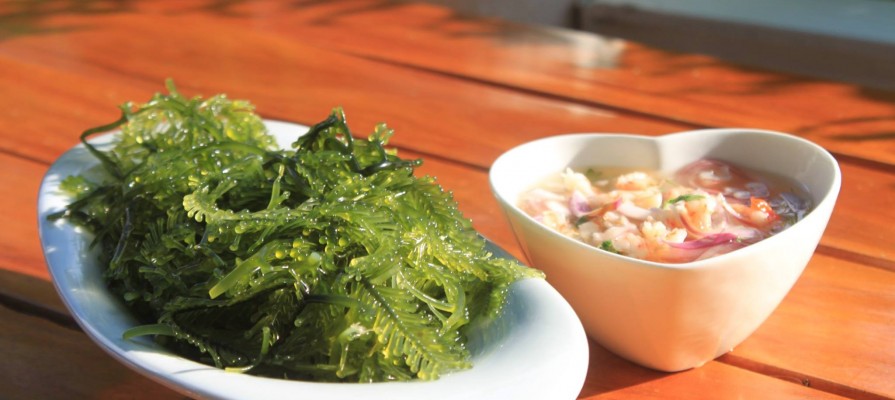 ยำสาหร่ายขนนก Seaweed Salad
